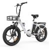 ALLGOBIKE AC20 Electric Bike 250W Motor 48V 20Ah 20"x 3.0" Fat Tyres E-BIKE