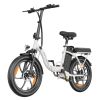 WITAMBIKE C16 Electric Bike 250W Motor 48V 16Ah 20"x 3.0" Fat Tyres E-BIKE