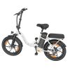 WITAMBIKE C16 Electric Bike 250W Motor 48V 16Ah 20"x 3.0" Fat Tyres E-BIKE