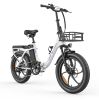 ALLGOBIKE AC20 Electric Bike 250W Motor 48V 20Ah 20"x 3.0" Fat Tyres E-BIKE